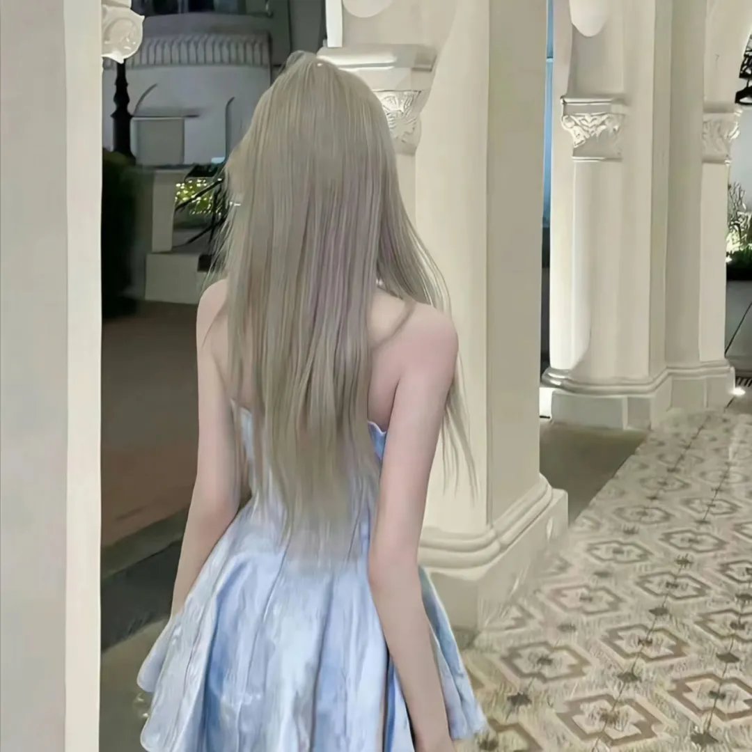 监察局长
