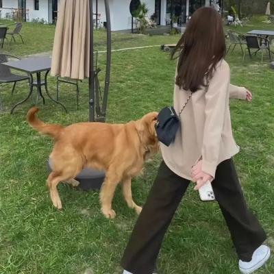 摩洛克